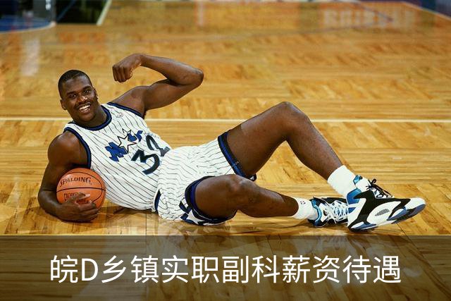 皖D乡镇实职副科薪资待遇