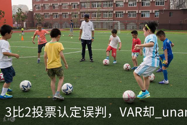 3比2投票认定误判，VAR却 unanimous 不介入